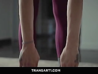 dante colle sucks and fucks hot ts casey kisses