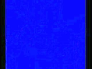 lovely shemale fucks herself to multiple orgasms and cum, in black minis