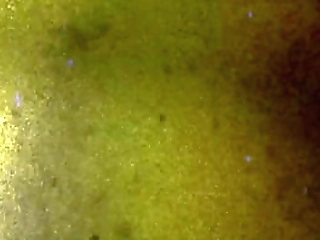 tgirls xxx: janie blade shows off