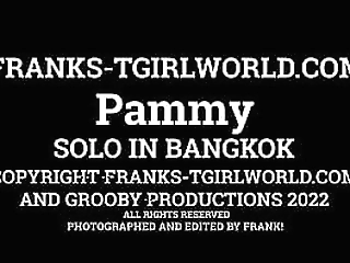 frank'_s tgirl world: new girl pammy
