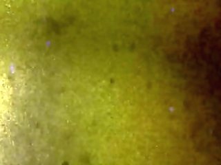 tgirl pornstar: chelsea marie pleasures epic