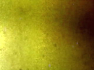 tgirls xxx: vic gets a piece of gia