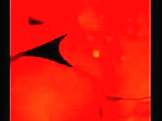 t-girl venus lux fucks adriana chechik