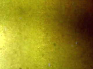 tgirls xxx: blown away by janie blade