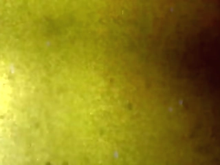 tgirl pornstar: dahlia'_s epic hardcore