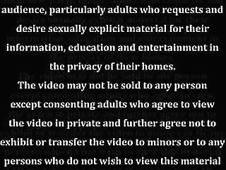 tgirl pornstar: jasmine and fernando in heat