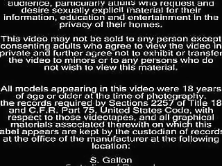 frank'_s tgirl world: a night with ms. pupe