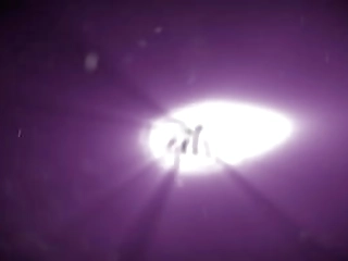 vinatge exotic trans babeworks it