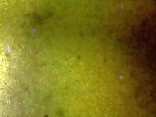 tgirls xxx: jessy dubai talks dirty with you