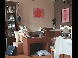 asian trans whore sucks a big pov cock for cash