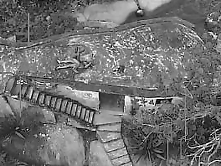 horny blonde jamie croft solo dick stroking