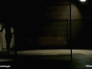 hot shemale fucks man with fucksall