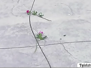 smalltits ts butt fucked by boyfriend