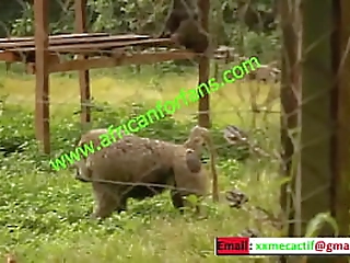 sexy shemale selfie xxx xxx jerkingdick