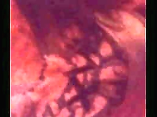 busty tranny babe rims asian girl s ass and sucks stud s balls