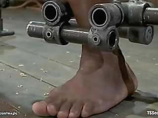 ebony ts torment and fuck black man