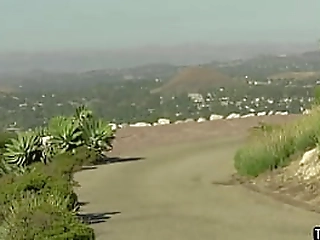 busty tranny babe interracial anal sex