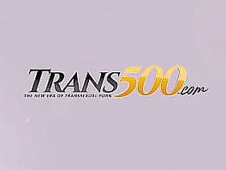 brunette shemale taking anal sex missionary style