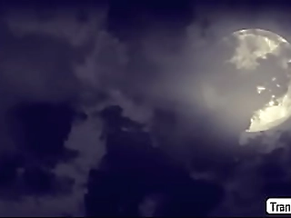 ts khloe loves when she suck dudes huge dick