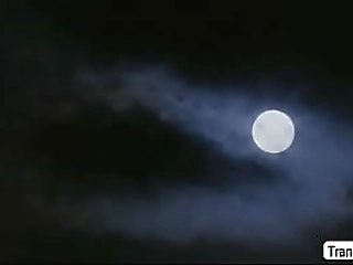 ts khloe loves when she suck dudes huge dick