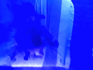 four lustful shemales passionately fuck and suck