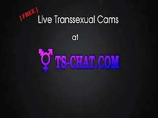 she sucked me live - ts-chat.com