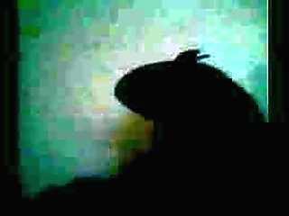 hot latina shemale fucks pervy guy's ass hard for intense anal sex