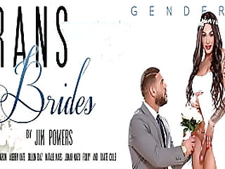 two busty shemales fucks their friend