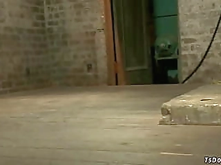 bachelor is bound and fucked by ts