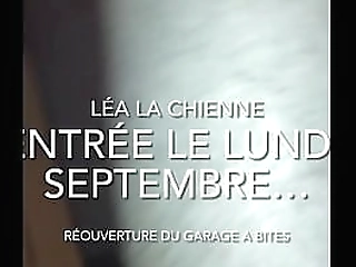 risky bareback sex with beautiful ladyboy