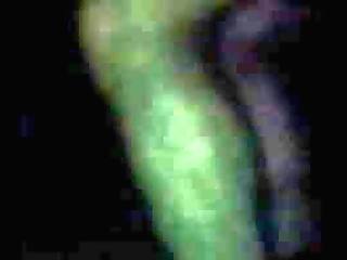 bitch fucked in a dark forest