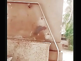 horny ladyboy gets a boner before jerking and shooting streams of cum