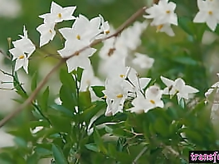 traveco com pau enorme  travesti shemale brazil