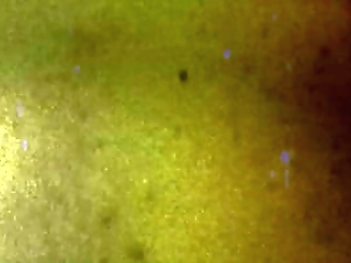 tgirls xxx: horny gia staxxx!