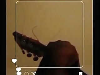 i'_m so mature i'_m fully grown (unisex version)