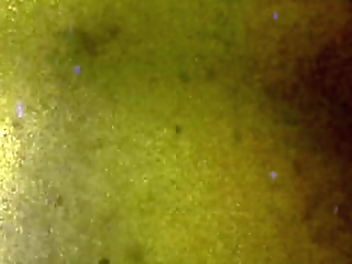 groobygirls: the dixie queen