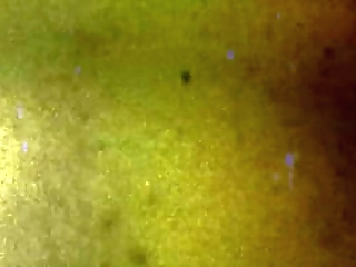 tgirls xxx: gia staxxx stays gorgeous!