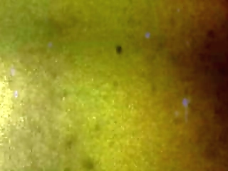 tgirls xxx: nicole gets destroyed!