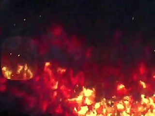 crazy shemales orgy action