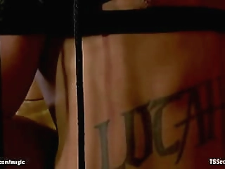 shemale crossdresser anal dildo toy lingerie nylon pantie 51