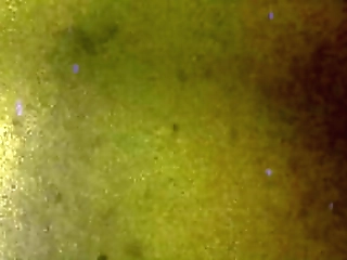 tgirls xxx: nyxi is thirsty for more!