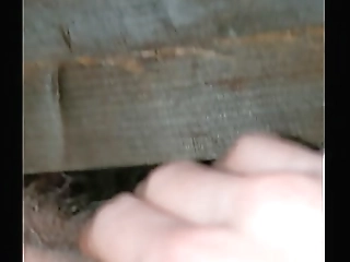 ftm pissing off the porch