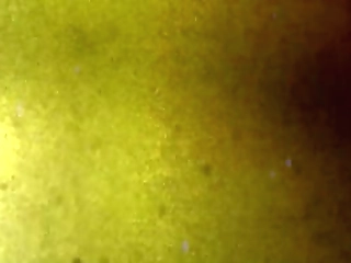 sexy shemale selfie xxx xxx1 jerking