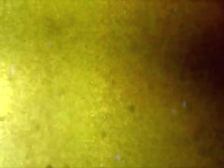 hot blonde shemale enjoy nice fucking from the ass