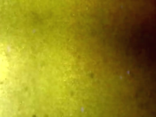 groobygirls: ivory mayhem makes a scene