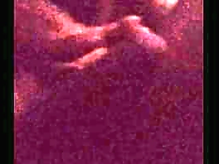 sims 4 shemales doing what they do best